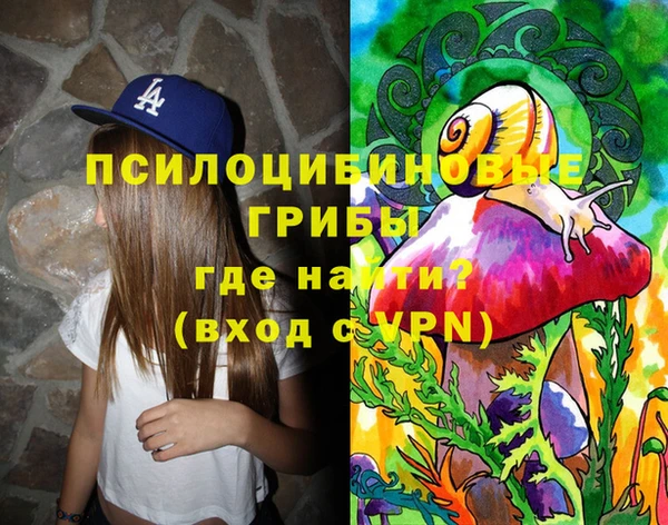 молекула духа Алексин
