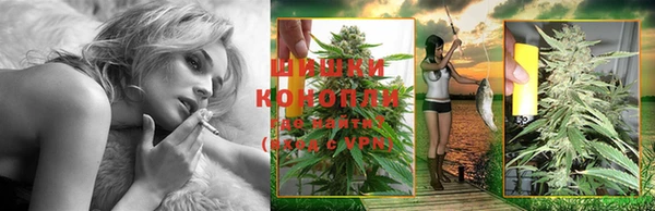 крисы Абинск